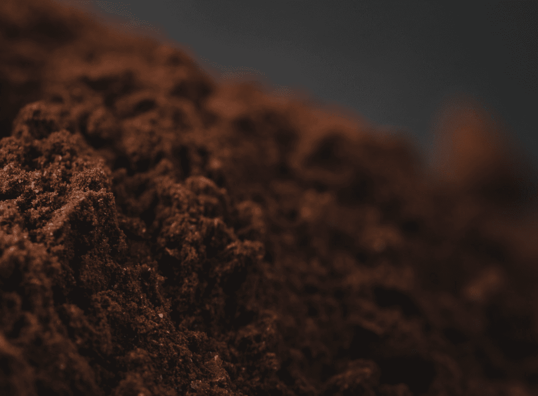 Cacao & Coffee